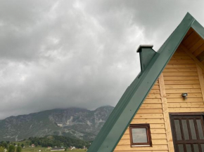 Durmitor cottage in green field-Mountain cottage